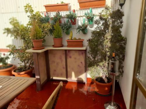 Apartamento La Terraza