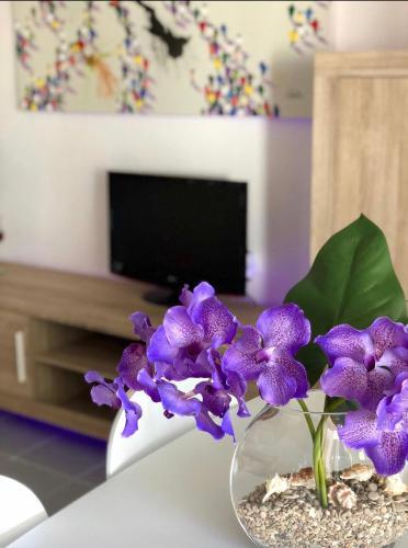 Apartamento Cala Puntal