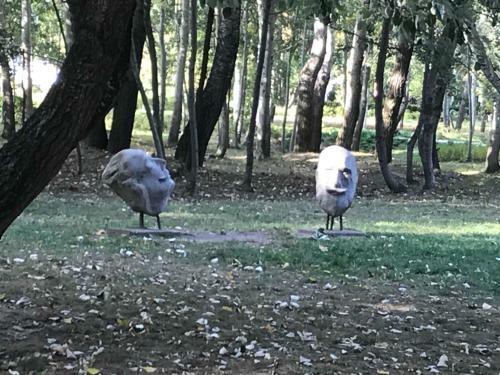 Kasztanowa Apartament