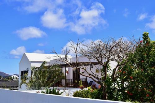 Villa Lava