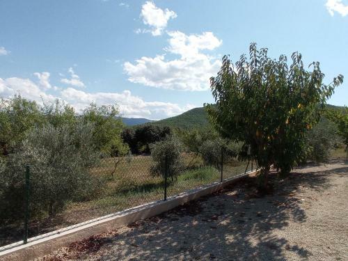 El Valle De Yeste