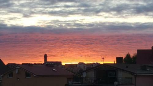 Orle Gniazdo