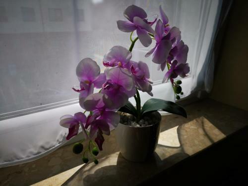 Apartament Gabriela