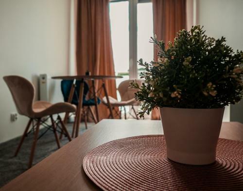 Hotel Morska Per?a