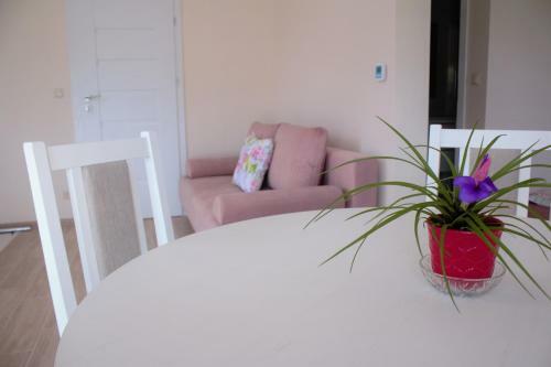 Hotel Morska Per?a