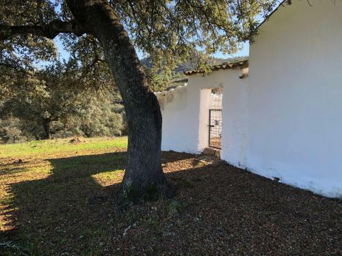 Finca La Vicaria Romero