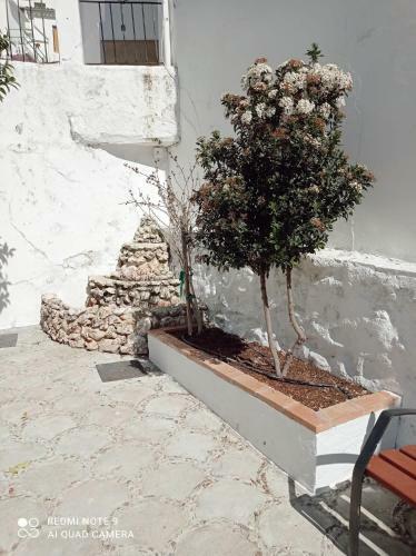 Casita Tipica