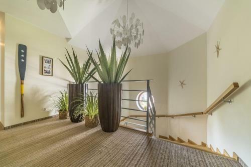 Bed & Breakfast Willa Vela