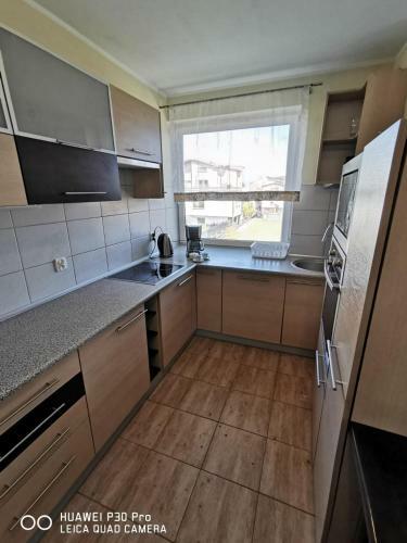 Apartament Ster