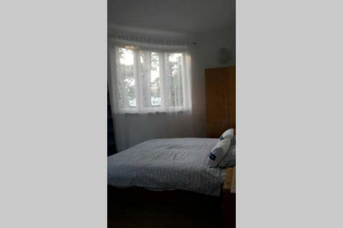 Apartament Dla 6-8 Os�b W Willi Transatlantyk