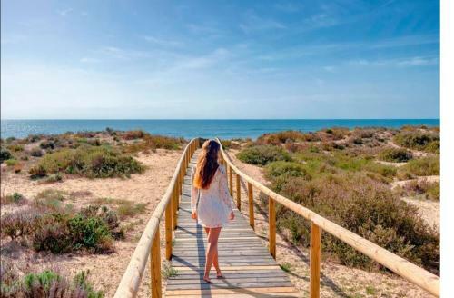 Apartamento En Punta Umbr�a