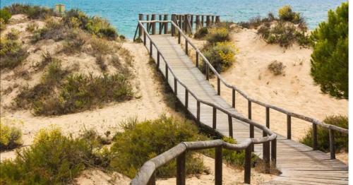 Apartamento En Punta Umbr�a