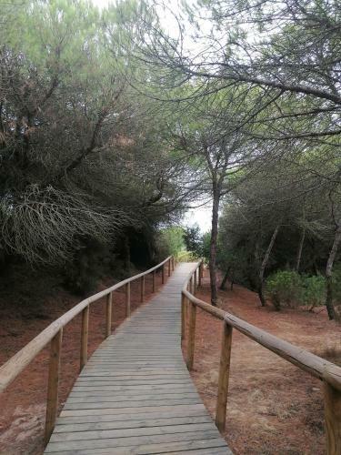 Apartamento En Punta Umbr�a