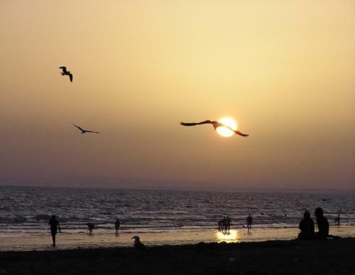 Apartamento Punta Umbr�a Playa Ria