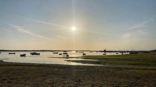 Apartamento Punta Umbr�a Playa Ria