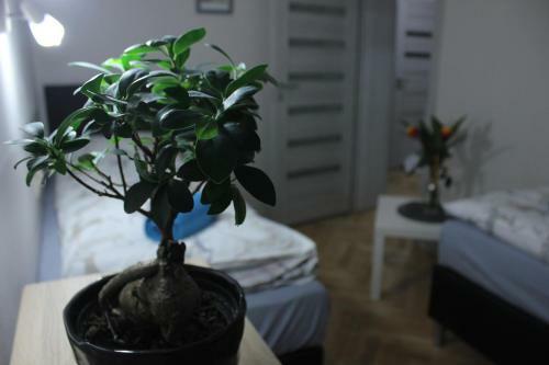 Kotlarska Apartment