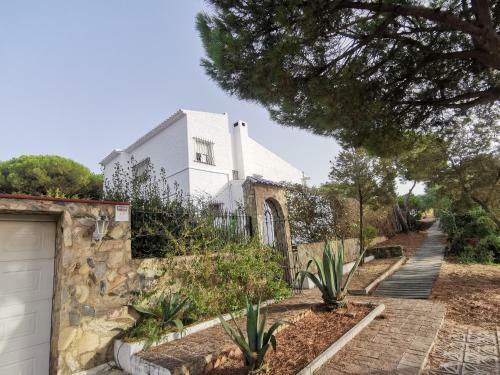 Apartamento Entre Pinos Y Playa
