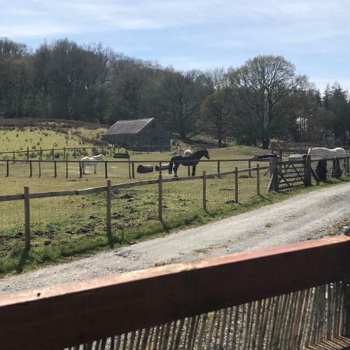 Bwythynod Helmau Cottages