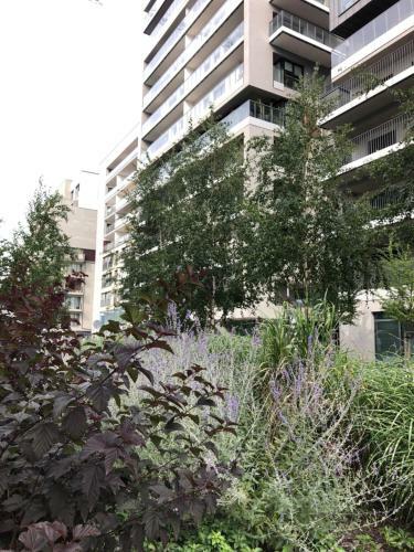Apartamento Green 25 - Angel River