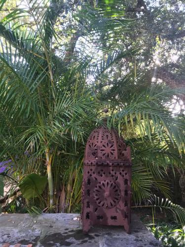 Bed & Breakfast La Dulcinea