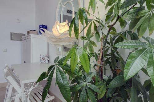 Apartamento Sotogrande Port On The Beach Cozy Studio