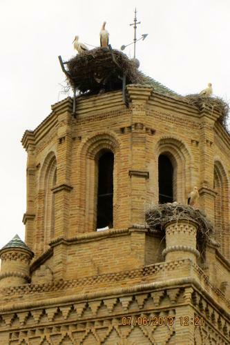 Apartamento Cig�e�a