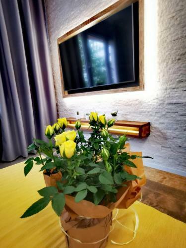 Apartament Przy Arsenale