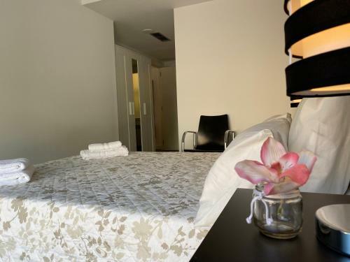 Lc Apartamentos C�sar Augusto