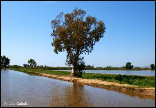 Agroturismo Casilla Del Mas D'avall