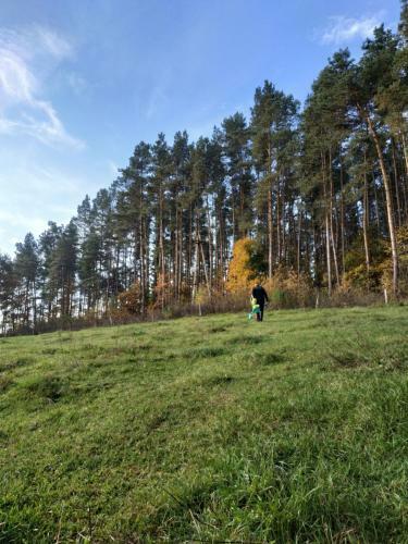 Zalesie - Wyj?tkowe Domki Nad Jeziorem