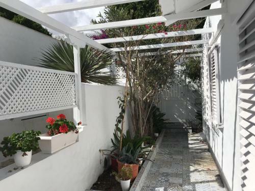 Apartamento San Agust�n Seaviews And Flowers