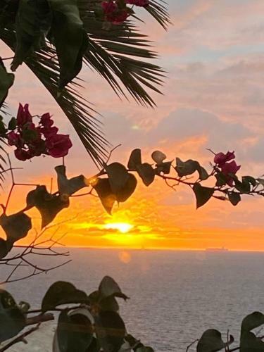 Apartamento San Agust�n Seaviews And Flowers