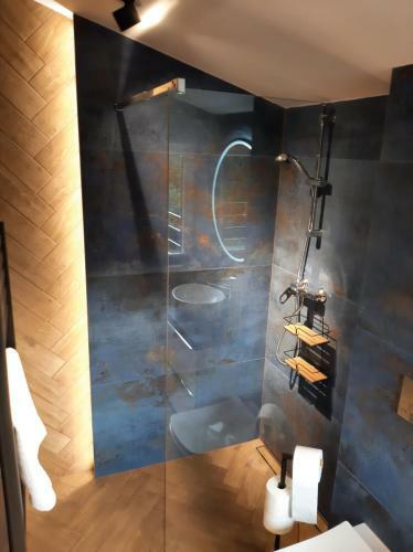 Apartament Willa Pod Sosnami Zator Przecisz�w