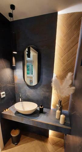 Apartament Willa Pod Sosnami Zator Przecisz�w