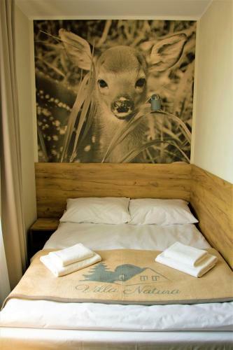 Bed & Breakfast Villa Natura Zator Przecisz�w