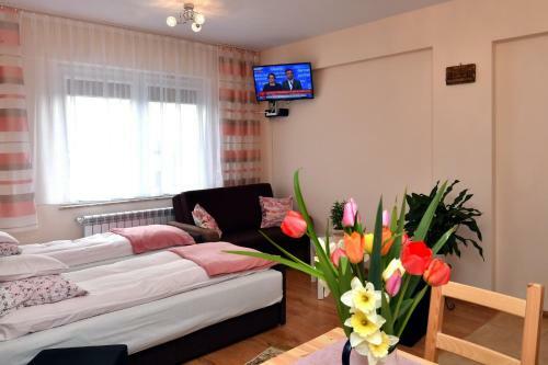 Zator Apartamenty Weekend