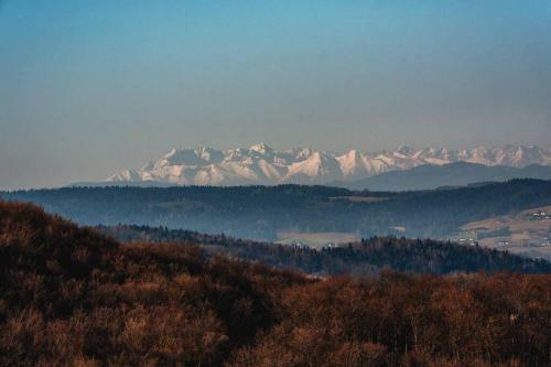 Villa The Lake House - Dom Nad Samym Jeziorem Ro?nowskim