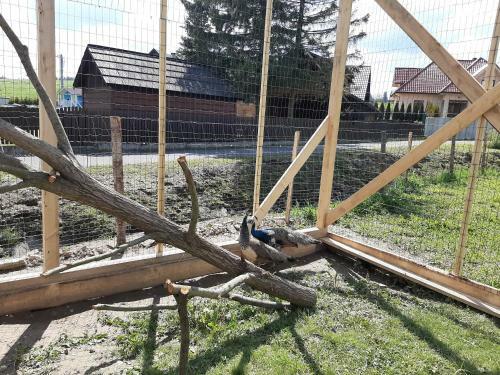 Ukozak�w