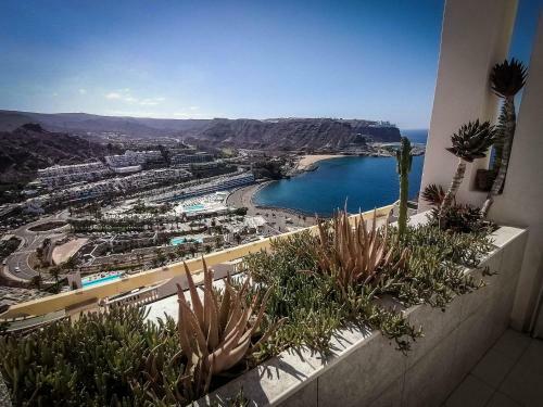 Apartamento Monsenor Apt. T4 - Casa Azul