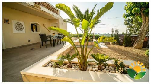 Casa Pi�a Unique & Modern Seaview Eco Apartment