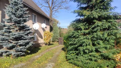 Sp?kane Ska?y - Apartament