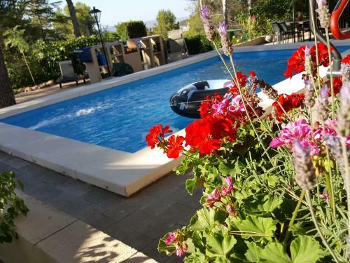 Bed & Breakfast Casa Jetizo