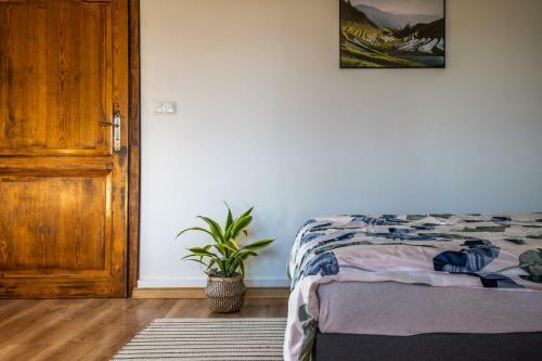 Bed & Breakfast Zajazd Izabela