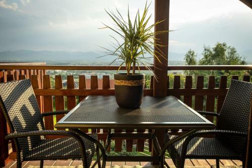 Bed & Breakfast Zajazd Izabela