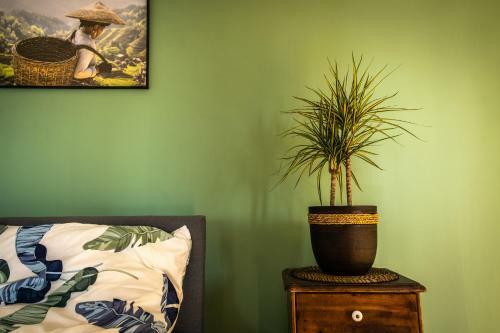 Bed & Breakfast Zajazd Izabela