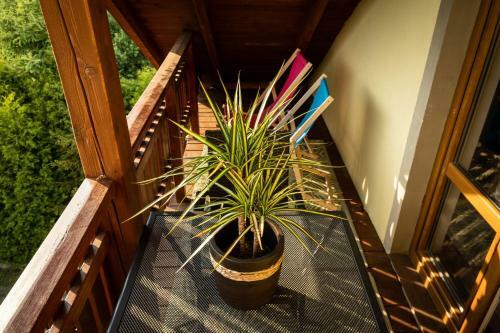 Bed & Breakfast Zajazd Izabela