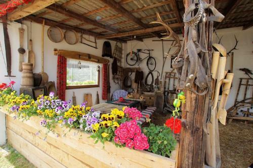 Agroturystyka "u Kuremzy"