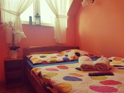 Hostal Noclegi U Dyncyka