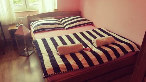 Hostal Noclegi U Dyncyka
