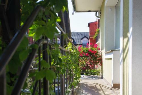 Apartament Antracytowy Dar?�wko